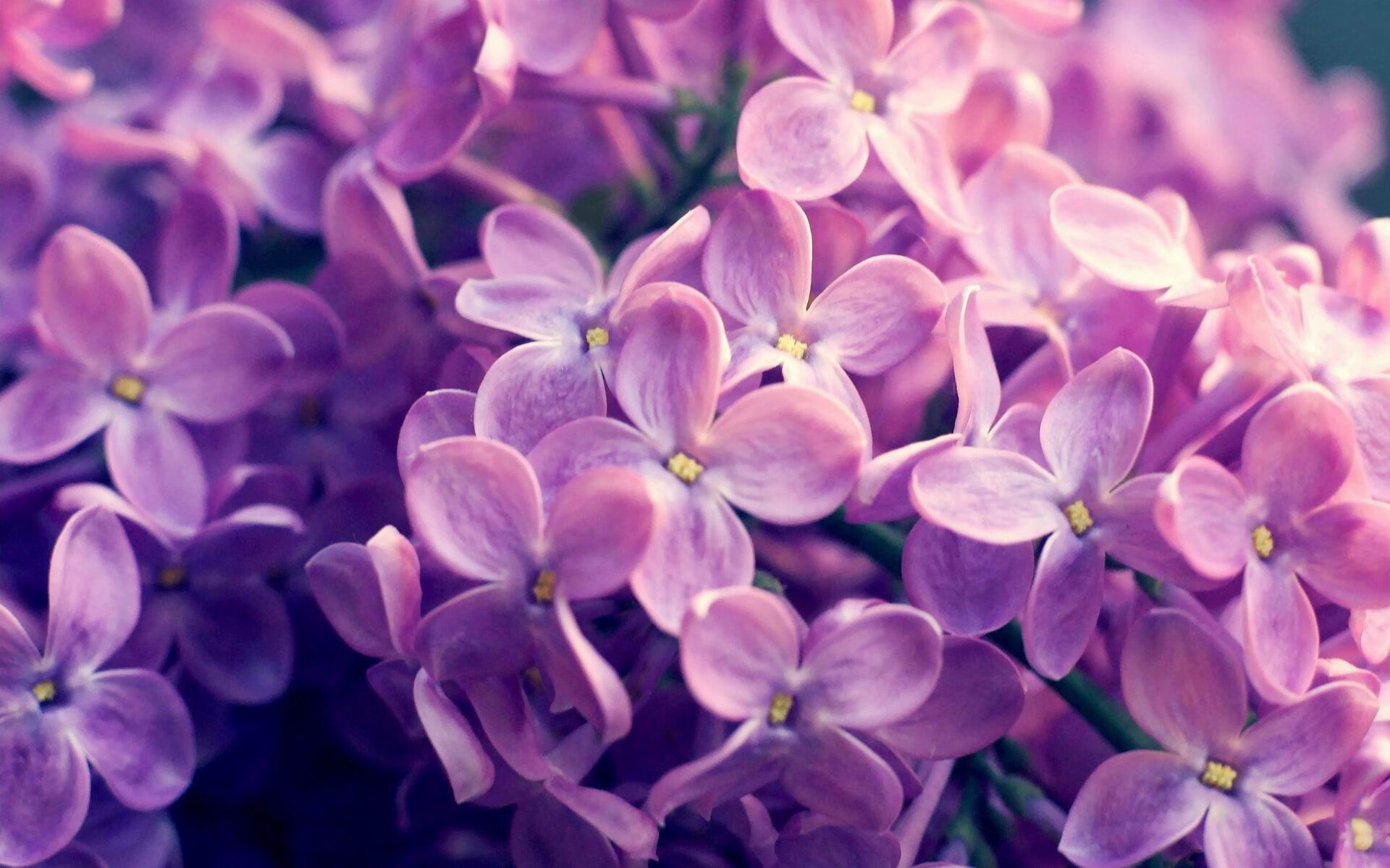 掘金绝杀浙江队,字母哥在美加墨世界杯接管比赛,跨越时空的绝杀与统治